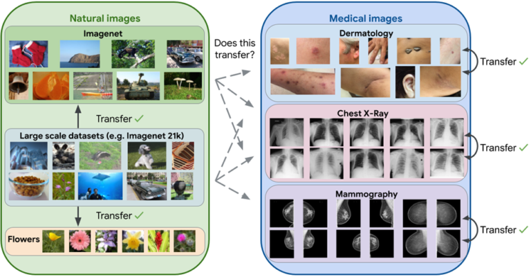 Natural Images to Medical Imaging